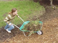 Removing turf to help define the planting bed and contain the mulch.