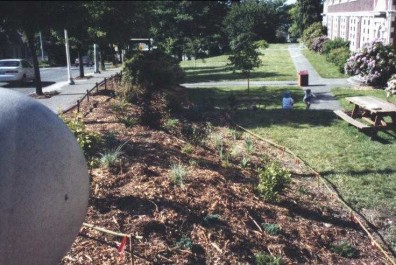 The finished Evolution Garden (view from above).