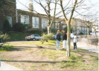 Landscape conditions at the Triangle prior to renovation.