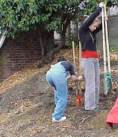 Digging postholes to prepare for terrace installation.