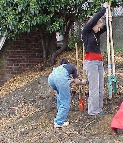 Digging postholes to prepare for terrace installation.