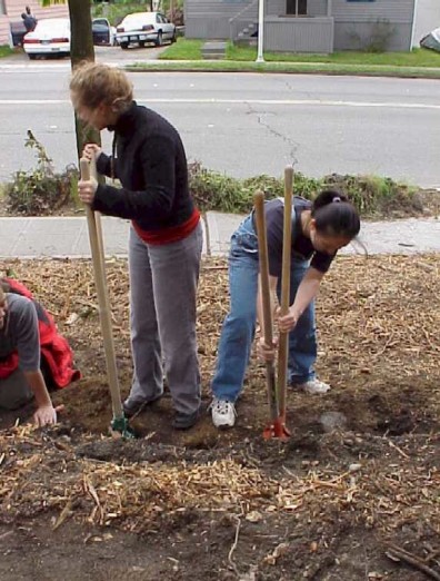 Digging postholes to prepare for terrace installation.