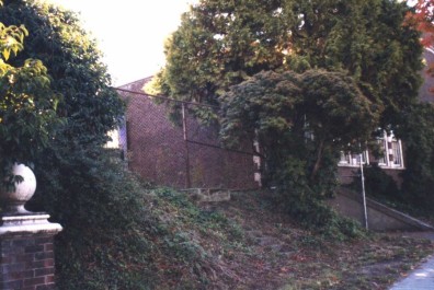 The Herb Garden site prior to rehabilitation.