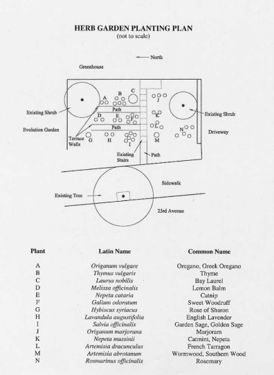 Site 2 Theme: Herb Garden