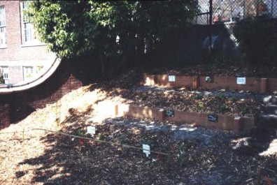 The finished Herb Garden.