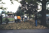 Mulching with wood chips (May 6, 1999).