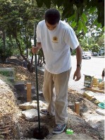 Building the terraces.