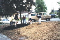 Creating soil islands for planting (May 20, 1999).