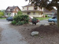 Weed removal two years after renovation (April 2001).