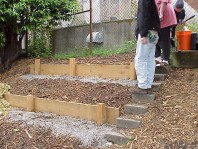 Inspecting the new terraces.