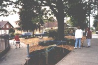 The finished triangle: ground view (May 1999)