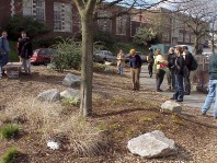 The site one year after renovation (March 2000).