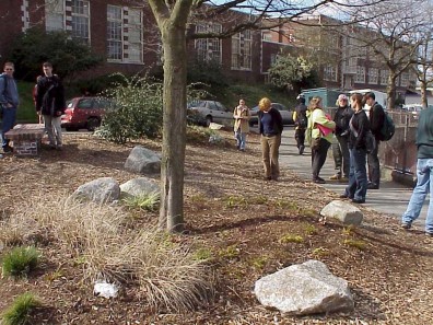 The site one year after renovation (March 2000).