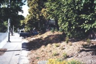 The finished Native Garden.