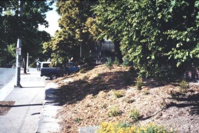 The finished Native Garden.