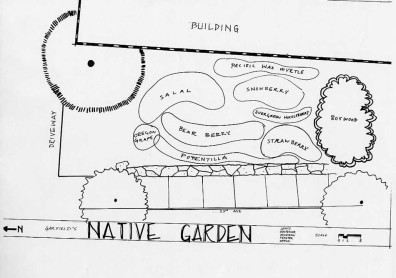 Site 3 Design Theme: Native Garden