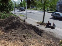 The site prior to renovation (but after ivy removal).