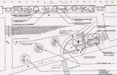 Proposed design scheme (final plant selection was altered based on availability)
