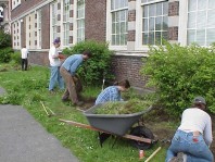 Removing turf to both reduce resource competition and expand the planting bed.