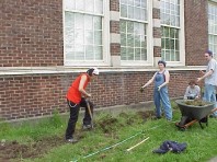 Removing turf to both reduce resource competition and expand the planting bed.