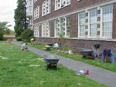Installing and mulching plants.