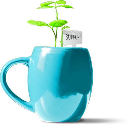 Plant in coffee cup with a tag that reads "Support"