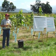 Dr. Johnson talks about buffers.