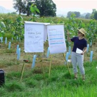 Dr. Henri discusses the economics of buffers.