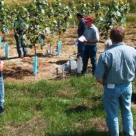 The sampling process is presented.