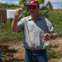 Dr. Johnson checks his sample.