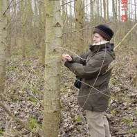 Dr. Henri inventorying trees in the buffer.