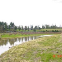 Joe Leary Slough in flood stage.