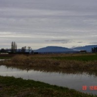Joe Leary Slough with Mt. Baker in the distance.
