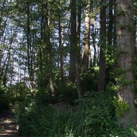 View from inside buffer.