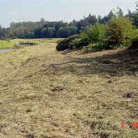 Cleared bank next to waterway.