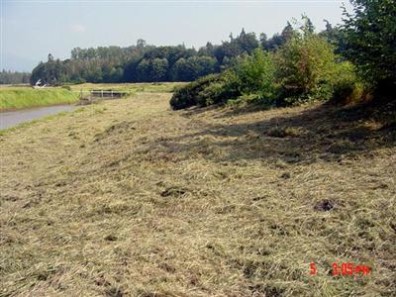 Cleared bank next to waterway.