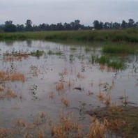 November 2004 flood.