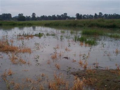 November 2004 flood.