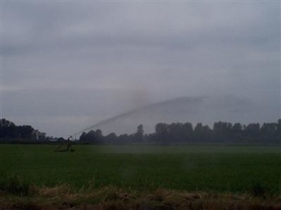 Stationary spreader applies manure to adjacent field.