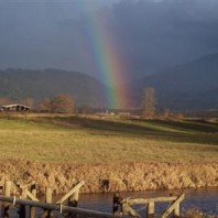 Rainbow over Nookachamps.