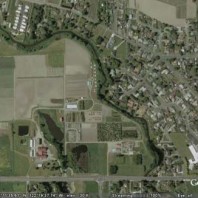 Aerial photo before buffer establishment.