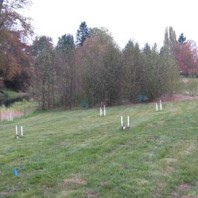 Grass and alder plot, winter year 3.