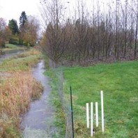 Clarks Creek full of storm water