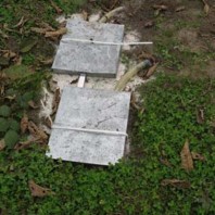 Runoff surface water and sediment collector.