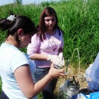 Mixing the solutions before reading the results.