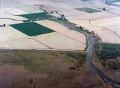 Aerial photo of Brown's Slough