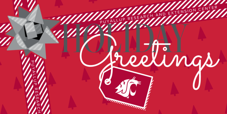 Illustration of a wrapped present and hang tag featuring the WSU cougar head imprint. "Puyallup Research and Extension Center Holiday Greetings".