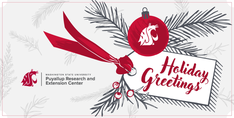 Washington state University Puyallup Research and Extension Center. Gift tag reading Holiday Greetings surrounded by grey evergreen boughs and a crimson Cougar holiday ornament.