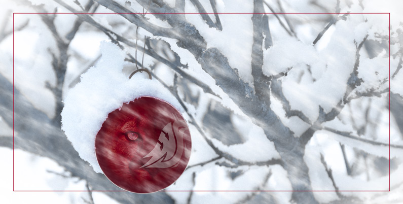 A crimson ornament with a WSU cougar head logo hanging in a snowy tree. A cougar stares from inside the sphere.
