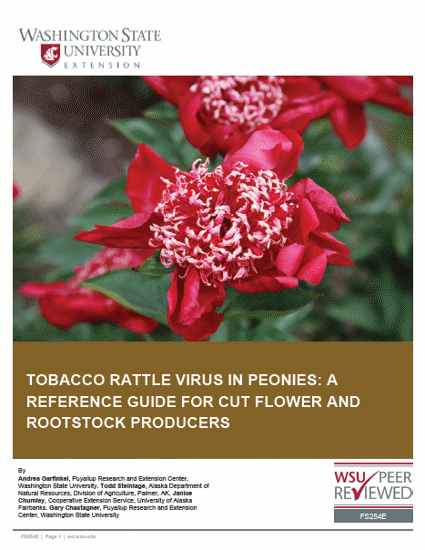 Link to a download page for "Tobacco rattle virus in peonies: a reference guide for cut flower and rootstock producers"